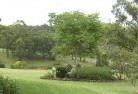 Burnside VICresidential-landscaping-40.jpg; ?>